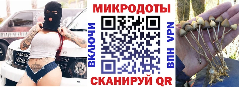 Купить где Чухлома Галлюциногенные грибы Psilocybine cubensis